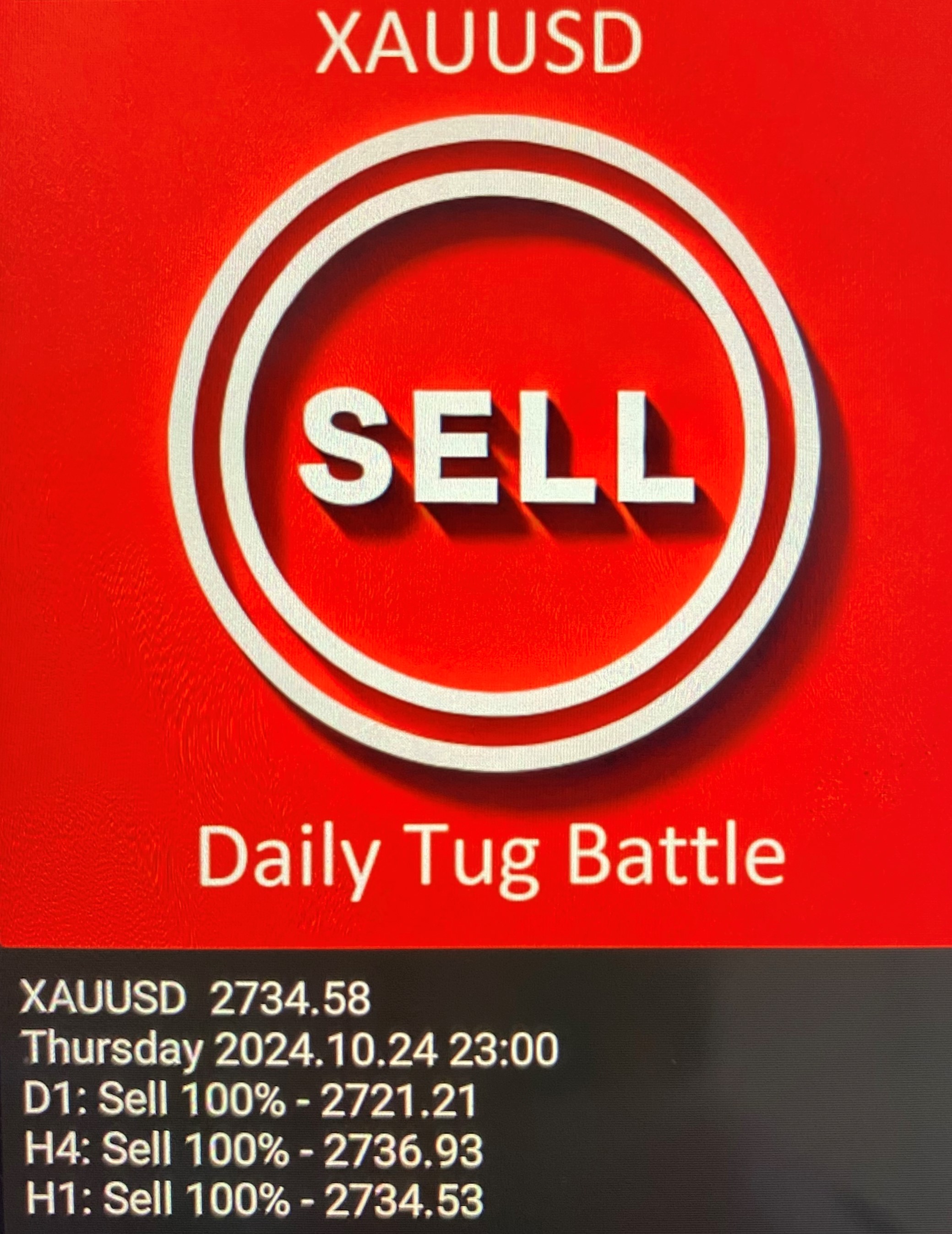 شکل ۱: نمودار قیمت